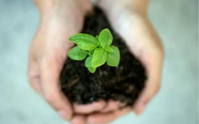 Corporate Benefits 2.0: Nachhaltigkeit als Recruiting-Faktor